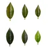 Folhas de Osmanthus Artificiais, Folhas de Plantas Verdes Artificiais, Folíolos Artificiais, Acessórios para DIY, Plantas Verdes Artificiais, Folhas de Chá Artificiais