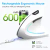 Ratón vertical ergonómico 2.4G BT5.1 modo dual 2400dpi ajustable diseño silencioso transfronterizo en stock
