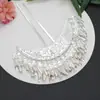 Tocado de la Minoría Miao Tocado del Pueblo Dong Aleación de Plata Miao Pasador para el Cabello Pasador con Borla Pasador para Hanfu Accesorios para Actuaciones Escénicas