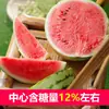 Semillas de Sandía Qilin, Sandía Perezosa de Azúcar de Hielo Extra Grande, Rey Dulce Gigante, Semillas de Verduras y Frutas Pequeñas del Sur de Cuatro Estaciones