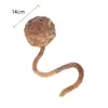 Juguete para Gato Transfronterizo Bola de Lana con Campana Mascota Resistente a Mordidas Bola Interactiva para Gato Juguete para Gato de Autoplacer Venta al por Mayor de Comercio Exterior