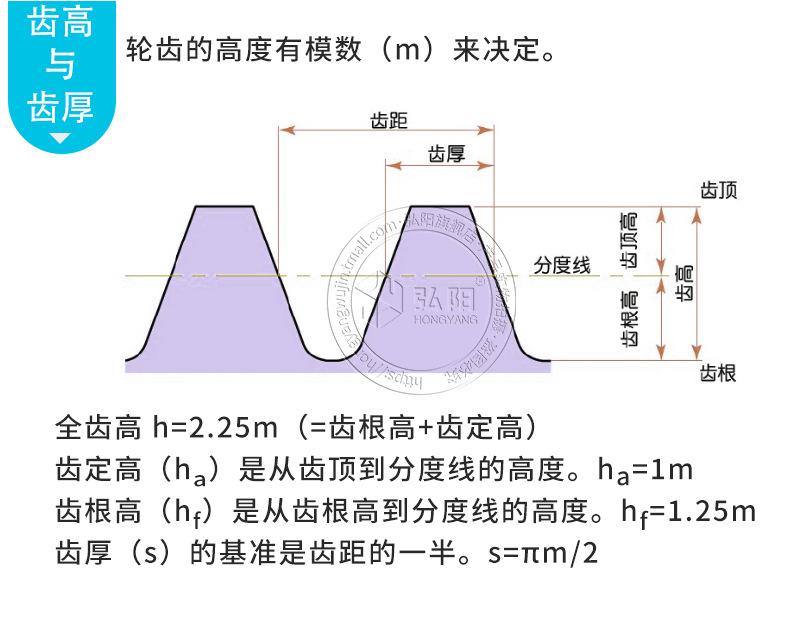 齿条_08.jpg
