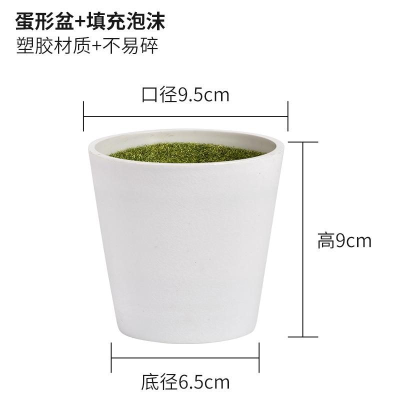 蛋形盆+填充泡沫
