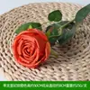 Flores Artificiales Flor Naranja Materiales Boda Salón de Bodas Decoración del Hogar Rosas Artificiales Flores Falsas Flores de Plástico Venta al por Mayor