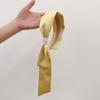 Diadema de cinta francesa de satén con borde ancho, estilo coreano, elegante, diseño retro de nicho, color verde leche, nueva llegada