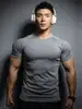 Gymshark Fitness Manga Corta para Hombre Mallas Deportivas Musculares Camiseta Elástica Estampado de Tiburón Secado Rápido Top Moderno