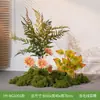 Flores Artificiais e Plantas em Cores de Outono Hy-Be10/Hy-Bg10/Hy-Bc90 para Paisagismo, Plantas Verdes e Arte Floral Bio-Inspirada
