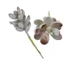 Mini Planta Suculenta Artificial Única Suculenta Falsa Flor Artificial Adorno de Micro Paisaje Oficina Planta Verde Real Artificial Alto