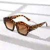 Estilo Nuevo 2025 Gafas de Sol Irregulares Personalizadas Ojo de Gato Moda Europea y Americana Casual Gafas Simples Exclusivo Transfronterizo Mq905