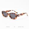 TR2225 Óculos de Sol Polarizados Fotográficos de Rua Tendência Personalidade Feminino TR90 Europeu e Americano Transfronteiriço Armação Pequena Masculino Formato Côncavo