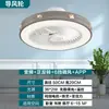 Lâmpada de ventilador de frequência variável lâmpada de ventilador elétrico simples lâmpada de teto plataforma transfronteiriça Amazon uma geração de saídas de fábrica
