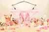 Fabricantes de Panties al por mayor suministro de malla transparente bordada Sexy para Mujer con Abertura transpirables cómodas panties 251