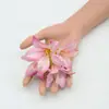 Flores de seda artificiales Flor Bauhinia impresa en 3D Cadena Kit de material más vendido transfronterizo para hacer cajas de flores y tocados estilo antiguo Hanfu