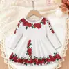 Comercio Exterior Ropa Infantil Primavera y Otoño Vestido Bebé Estiloso Retro Estampado de Rosas Rojas Agradable a la Piel Transpirable Cuello Redondo Manga Larga Vestido Infantil