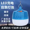 Nuevas Bombillas de Carga Orquídea Pavo Luces para Puestos de Mercado Nocturno Luces para Acampar al Aire Libre Bombillas de Carga LED