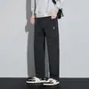 Pantalones Cargo Versátiles Antiarrugas de Corte Holgado para Hombre, Pantalones Casuales de Pierna Recta para Primavera y Otoño, Pantalones Anchos de Moda para Hombre