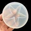 Nuevo Molde de silicona para fondant de espejo, molde de epoxi de estrella de mar, molde de silicona para pegamento epoxi UV cristalino DIY en stock