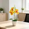 Maceta Redonda Pequeña Transfronteriza Tres Orquídeas Phalaenopsis Planta en Maceta de Simulación Decoración de Entrada de Casa Mueble de TV Flor Artificial de Película Planta en Maceta