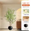 Planta Artificial Madeira de Cavalo Verde Planta Falsa Planta em Vaso Peça Decorativa Grande para Sala de Estar Campanula Japonesa Bonsai Artificial