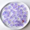 Contas de Vidro Vida Marinha 14mm Furo Médio Pequena Estrela do Mar Acessórios DIY Contas para Pulseira Brincos Contas Soltas Material Joias