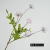 Amazon Color Otoño Bola de Diente de León de 5 Cabezas Crisantemo Flor Artificial Ramo Decoración Escena Floral Arreglo Decoración de Boda Flores Falsas