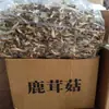 Hongos de asta de venado secos al por mayor, adecuados para vendedores ambulantes, hongos crujientes para olla caliente, uso comercial y doméstico, comestibles para saltear