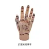 Modelo de Mano para Masaje Área Refleja Modelo de Acupuntura del Cuerpo Humano Hombres y Mujeres Puntos de Acupuntura Meridiano Acupuntura Posición de la Medicina China Figura de Mano 19cm