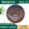 Extrato de Menta Líquido, Venda Direta da Wanfang, Extrato Concentrado de Menta, Pedido Mínimo 1kg, Extrato de Menta Líquido Grau Cosmético