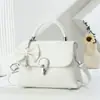 Bolsa Cruzada para Hombro de Mujer de Moda 2025, Bolsa Ligera para Mujer, Bolsa Cuadrada Pequeña, Bolsos