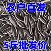 Nuevas Semillas de Girasol Crudas Frescas 2025 de Mongolia Interior, Sabor Original, Tostadas, Pepitas Extra Grandes, Semillas de Girasol Fragantes