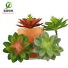 Simulación planta suculenta súper grande tamaño pequeño suculenta bonsái planta verde flor de plástico en maceta micro paisaje con pared vegetal