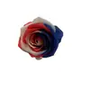 Cabezas de Flores de Tela de Seda Rosa para Decoración de Fondos de Boda, Arreglos de Cestas de Flores, Venta Directa del Fabricante, Piezas de Flores Artificiales, Venta al por Mayor de Flores Artificiales