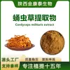 Extrato de Cordyceps Militaris Pó de Cordyceps Militaris Extrato de Cordyceps Militaris Grande Quantidade Tratamento Preferencial