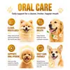 Spray oral para mascotas transfronterizo, spray para limpieza de dientes de gato y perro, ambientador de aliento oral para perros, al por mayor