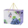 Caixa de Embalagem de Uvas de Tamanho Grande Universal, Caixa de Presente de Uvas Portátil com Casca Dura, Caixa de Embalagem Externa de Frutas para Presente de Feriado de Alta Qualidade