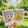 Estilo Porta-Retrato DIY Marcador de Página com Flores Secas Aluno do Ensino Fundamental Feito à Mão Autoproduzido Espécime Transparente Flor Seca Planta Flor Prensada Marcador de Página Atacado