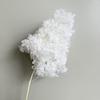 Flor Eterna de Yunnan Hortensia de un Solo Tallo Ramo de Flores Secas Multicolor Arreglo de Boda DIY Decoración del Hogar Estilo Nórdico