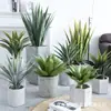 Simulação Planta Verde Bonsai Sisal Folha Grande Gladíolo Planta do Deserto Tropical Janela Paisagismo Decoração Planta Artificial Ponto