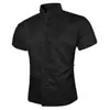Comércio Exterior Transfronteiriço Nova Camisa Masculina Slim de Manga Comprida Estilo Coreano Juventude Cor Sólida Casual Simples Camisa Roupa Profissional Masculina