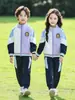 Uniformes de Jardín de Infancia, Uniformes de Primaria para Primavera y Otoño, Uniformes de Graduación, Ropa Deportiva Azul y Morada, Uniformes de Clase para Niños, Conjunto de Uniformes de Béisbol