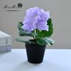 Flores Artificiales Peonía Rosa Narciso Plantas en Maceta Mini Accesorios Decorativos para Fotografía Flor Artificial Bonsái Adornos Creativos Flores Simuladas