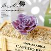 011 Série Roxa Planta Suculenta Cabeça de Flor Criativa Design DIY Acessórios para Arranjo de Flores Fornecimento Direto da Fábrica de Flores Planta Verde Shang