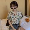 Verão 2026 Novo Estilo Hong Kong Retrô Estampa de Piquenique Camisa Top Feminino Design Solto Elegante Manga Curta