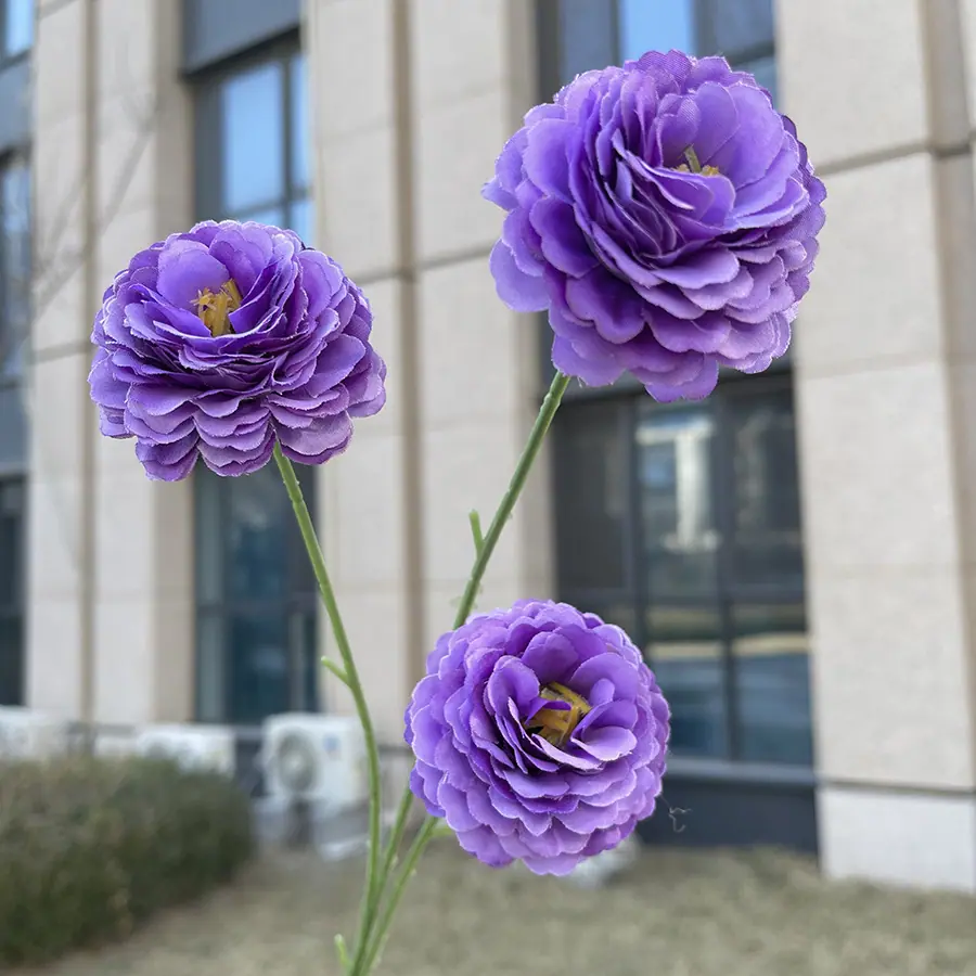 3头特慧丁香花-深紫.JPG