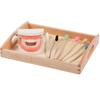 Materiais Didáticos Montessori Conjunto Infantil de Escovação e Lavagem Brinquedos Educativos de Educação Infantil Dentaduras Modelo Dental Jardim de Infância Cognitivo Dentes