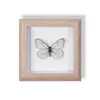 Especimen de Mariposa Real Pintura Decorativa Colgante Adorno de Insecto con Ojos Azules, Marco de Madera Maciza, Regalo para Mejor Amigo, Recuerdo Único