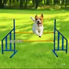 Fabricante Diversos equipamentos de treinamento para cães / Equipamentos para eventos esportivos de cães de estimação agility Treinamento de agilidade para cães simples