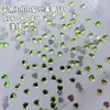 Rhinestones planos mini de 3 mm en forma de corazón, color dopamina, para decoración DIY de uñas