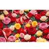 Tecido de Fundo para Decoração de Casamento Novo Estilo Chinês, Tecido de Fundo Novo para Encontro de Dia dos Namorados Transfronteiriço, Tecido de Parede de Flores para Banquete de Noivado