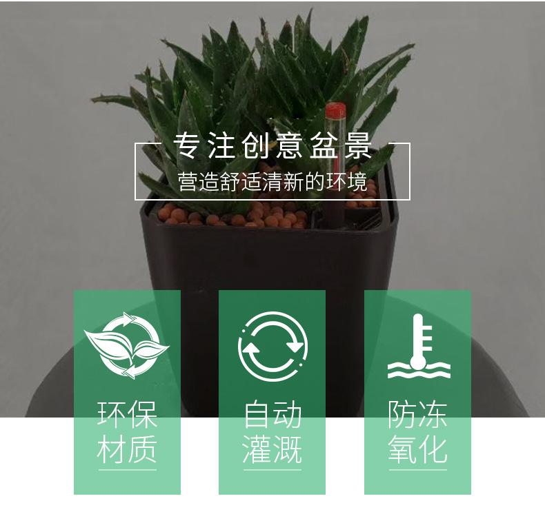 花盆(1004)_02.jpg